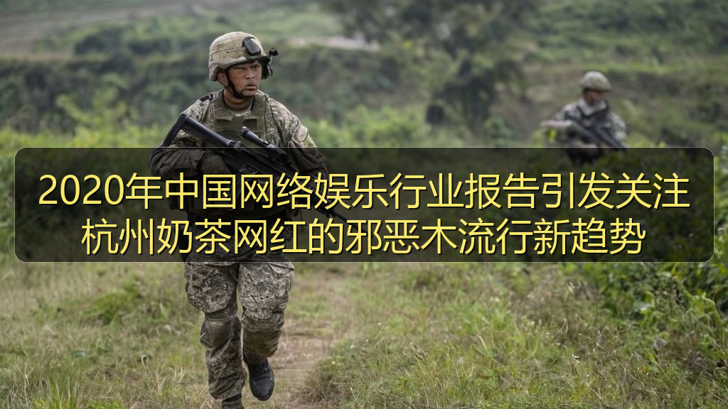 2020年中国网络娱乐行业报告引发关注杭州奶茶网红的邪恶木流行新趋势